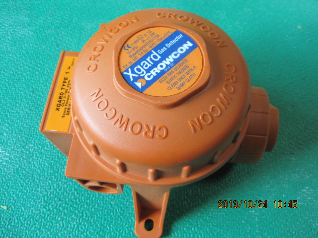 Gas Detector CL2 0-100ppm