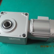 GEARED MOTOR GM-SHYF-RH